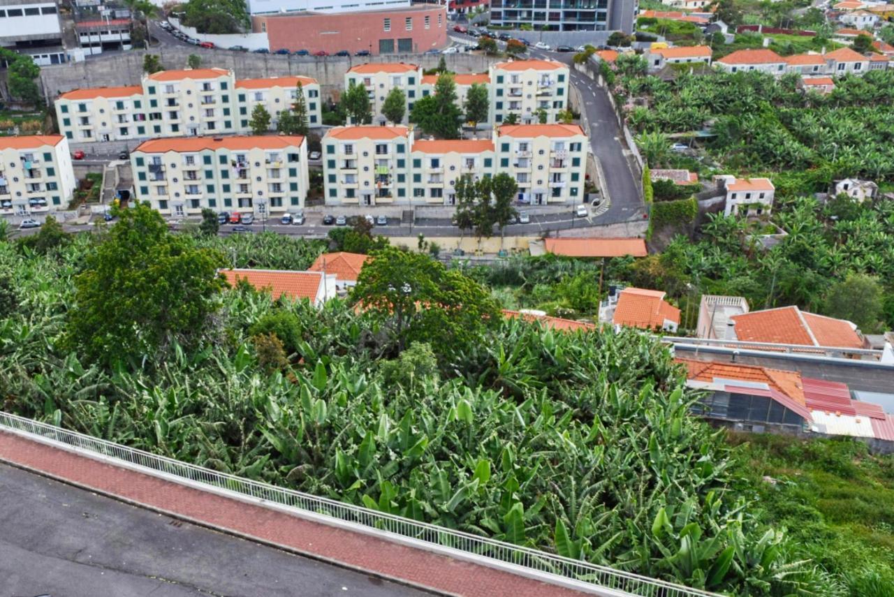 Design Gardens, A Home In Madeira Funchal  Luaran gambar